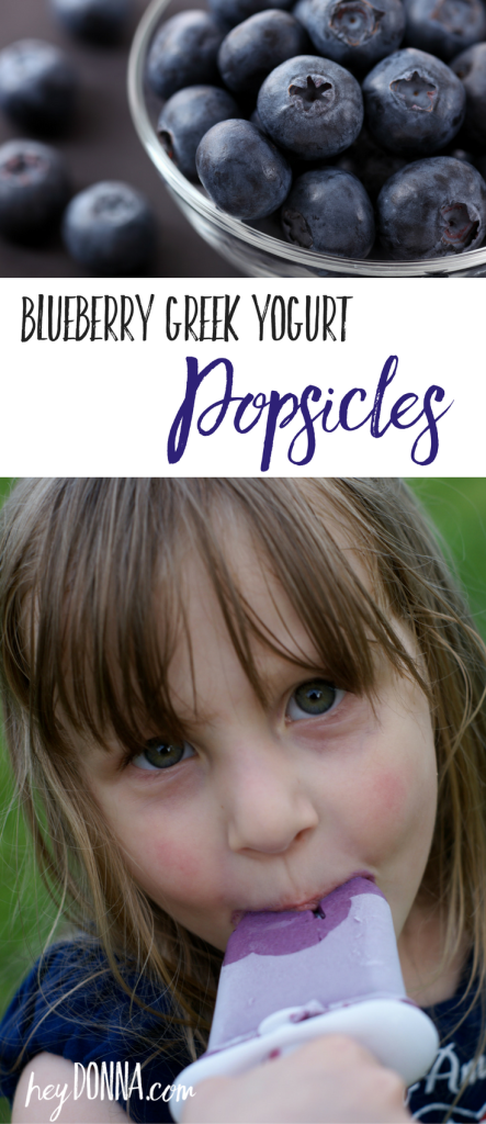 Quick 3 ingredient Blueberry Greek Yogurt Popsicle Recipe